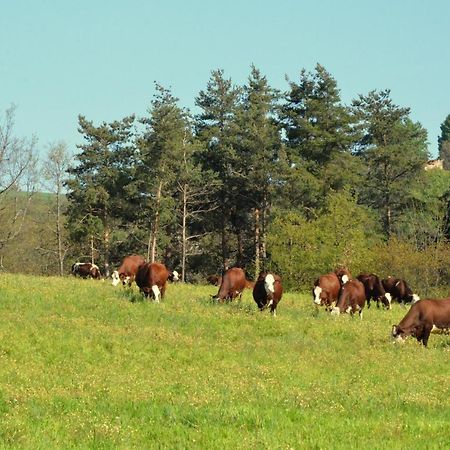 Gites A La Ferme De Bacon Saint-Sylvestre  ภายนอก รูปภาพ