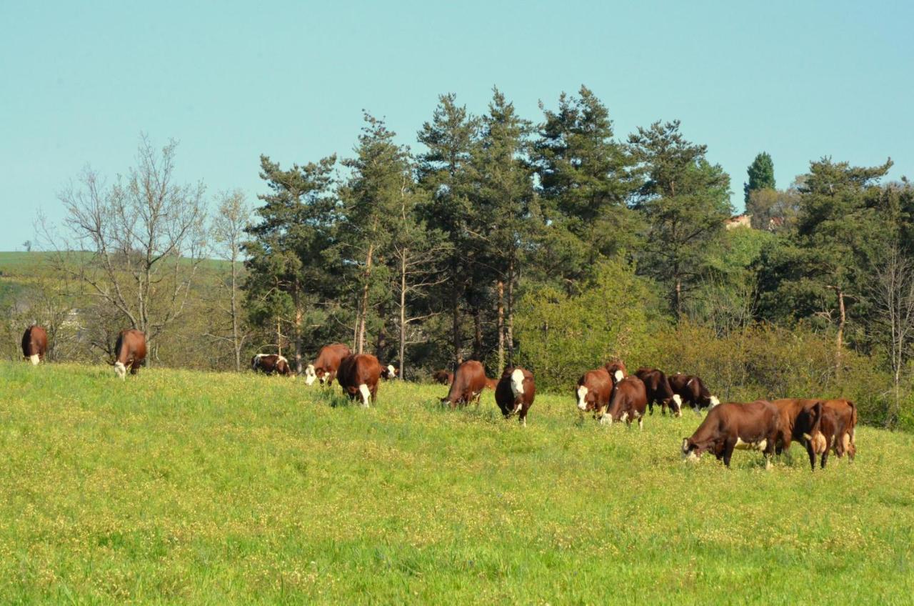 Gites A La Ferme De Bacon Saint-Sylvestre  ภายนอก รูปภาพ
